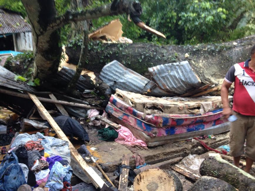 SALCEDO: Tres miembros de una misma familia mueren al caer árbol