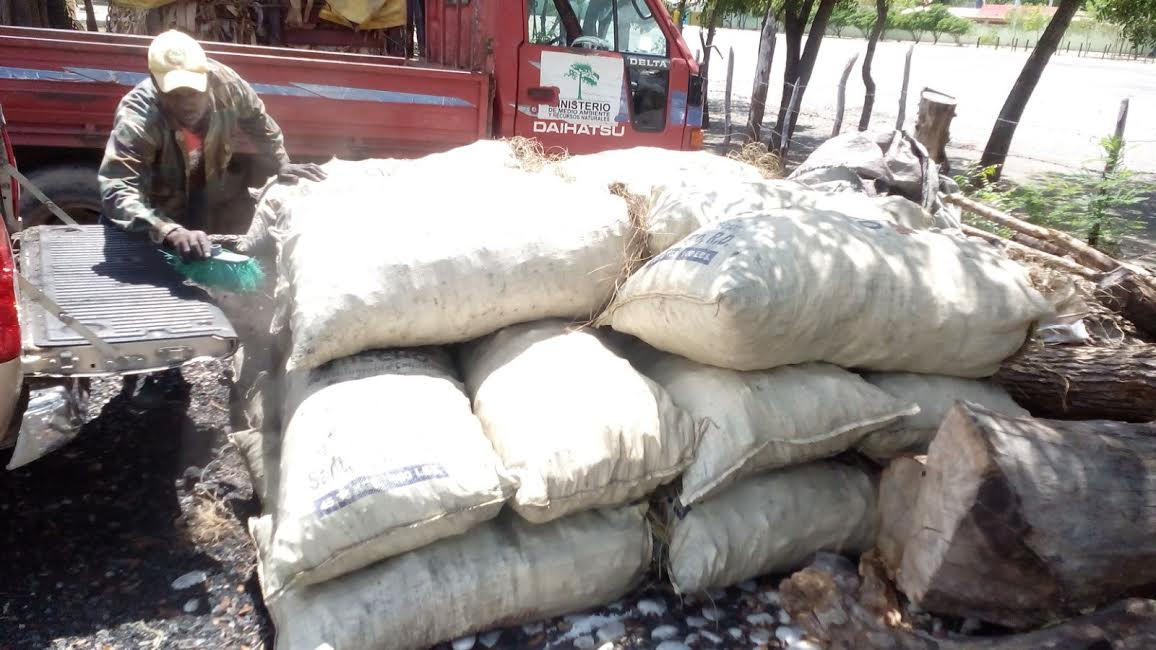 Ministerio Medio Ambiente ocupó miles de sacos de carbón este fin de semana