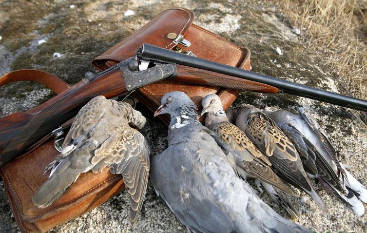 Medio Ambiente prohíbe caza de aves silvestres durante 2 años en Dominicana