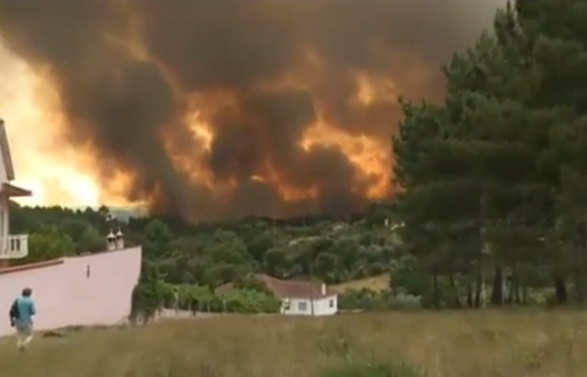 PORTUGAL: Más de medio centenar de muertos, 54 heridos en incendio forestal