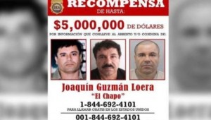 EU expresa satisfacción recaptura de «El Chapo» y felicita a México