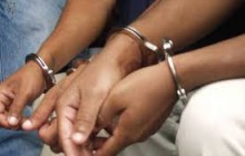 MADRID: Desarticulan red traficaba con dominicanos