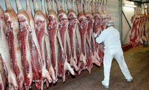RD debe aprovechar ventajas tratados para exportar carne