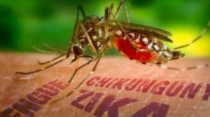 Un diagnóstico más rápido del zika, dengue y chikungunya