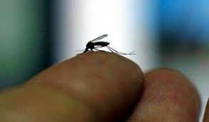 Colombia registra más de 37 mil casos de zika, 6,300 en embarazadas