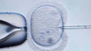 El Reino Unido aprueba modificación genética de embriones humanos
