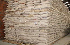 Productores dominicanos harían protestas en calles si autorizan importación masiva de arroz  