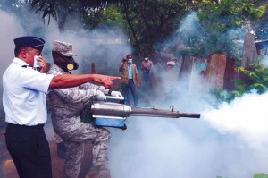 Montalvo pide a la población sumarse a tareas contra zika