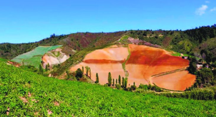 CONSTANZA: Prohiben desmonte zonas boscosas y pozos tubulares imagen