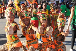 Carnaval de SD Norte: desfile de alegría, colorido y animación
