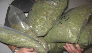 JIMANI: DNCD ocupa 36 pacas de marihuana