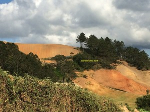 Constanza: Ríos al borde de la muerte súbita Constanza: Ríos al borde de la muerte súbita