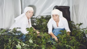 EE.UU: “Hermanas” cultivan marihuana medicinal EE.UU: “Hermanas” cultivan marihuana medicinal