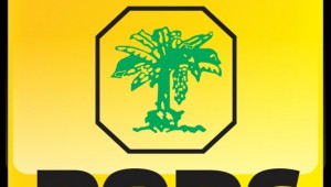 PQDC designa a Thania Báez delegada política ante JCE PQDC designa a Thania Báez delegada política ante JCE