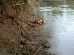 BARAHONA: Denuncian envenenan río Yaque del Sur