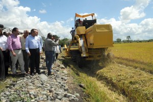 SFM: Ministro Agricultura afirma no será necesario importar arroz