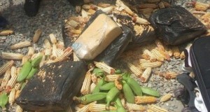 AZUA: Detienen sargento mayor PN transportaba 60 libras de marihuana