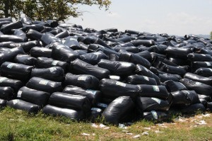 Gobierno amplia plan para mitigar sequía afecta productores lácteos