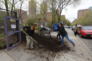 Sacrifican jardines comunitarios por vivienda asequible