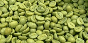 BARAHONA: Festi Café 2016 será del 28 al 30 octubre