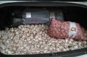 Incautan carros con ajo de contrabando desde Haití