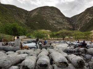 Exhiben documental sobre deforestación en RD y Haití
