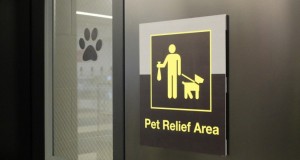 Aeropuerto JFK estrena sanitario para mascotas Aeropuerto JFK estrena sanitario para mascotas