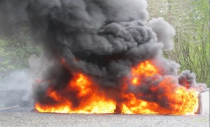 PEDRO BRAND: Queman 20 kilos de distintas drogas