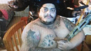 Usan montacargas para llevar reo dominicano de 500 libras Usan montacargas para llevar reo dominicano de 500 libras