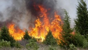 CANADA: Ordenan evacuar ciudad tras incendio forestal