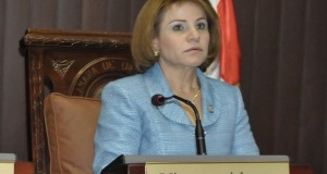 Hermana Danilo anuncia aspira a presidir la Cámara de Diputados
