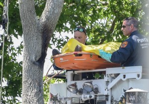 Dominicano muere electrocutado cuando cortaba árbol en LI