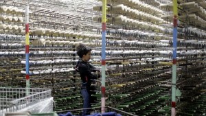 EEUU: Producción manufacturera crece