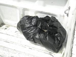 BARAHONA: Hallan muerto niño recién nacido