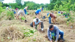 Entidades del gobierno plantan 3 mil árboles en frontera Haití
