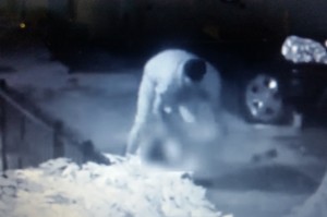 Buscan hispano trató desnudar mujer para violarla en Brooklyn Buscan hispano trató desnudar mujer para violarla en Brooklyn