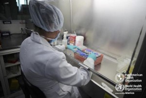 OPS recibe informe sobre brote de zika