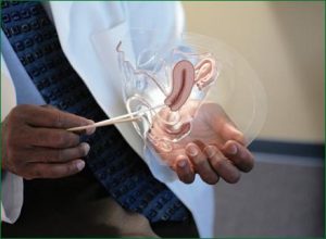 Aseguran a diario en RD mueren entre tres y cinco hombres de cáncer de próstata