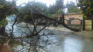 BAHORUCO: Ríos causan estragos en Neiba