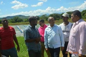 SAN CRISTOBAL: FEDA invierte $260 millones en proyectos agrícolas SAN CRISTOBAL: FEDA invierte $260 millones en proyectos agrícolas