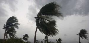 Florida cierra sus escuelas y ordena evacuaciones por furia Matthew