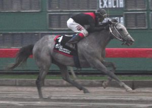 Harán «boleo» del Clásico Hípico Kalil Hache Harán «boleo» del Clásico Hípico Kalil Hache