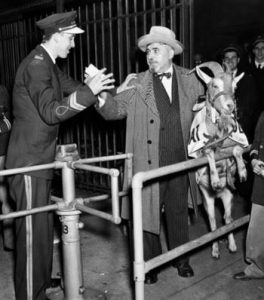 Los Cubs y las maldiciones en las Grandes Ligas