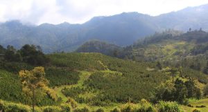 CONSTANZA: Propone asegurar el futuro de Valle Nuevo