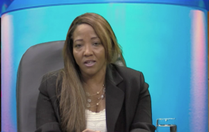 Diputada del PLD acusa a partidos de hacer oposición irracional