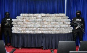 DNCD y PN decomisan 133 paquetes marihuana en camión