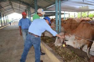 Federaciones respaldan trabajo de Ganadería