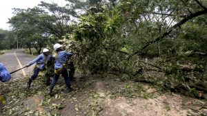 NICARAGUA: Selvas reducen impacto de huracán Otto