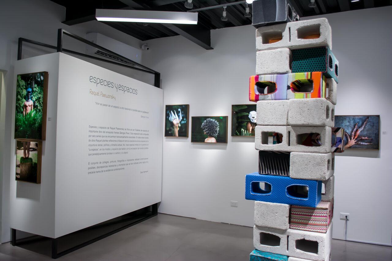 Raquel Paiewonsky exhibe «Especies y espacios» imagen