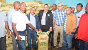 PUERTO PLATA: Gobierno entrega 1,400 quintales de abono a productores